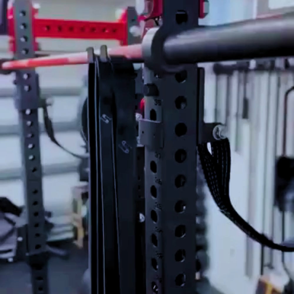 Bullet Pulley Ear Rigs